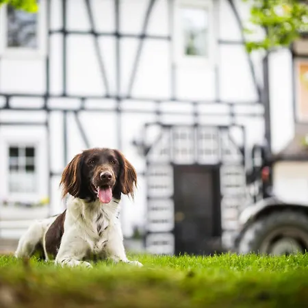 Hof Koehne - Haus Im Glueck Links *