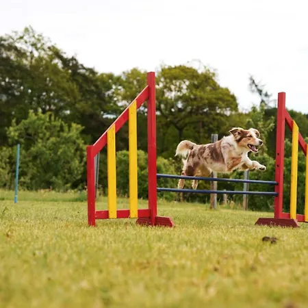 Hof Koehne - Haus Im Glueck Links