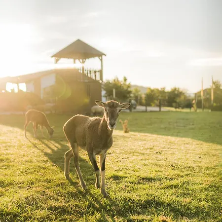 Hof Koehne - Haus Im Glueck Links * שמאלנברג