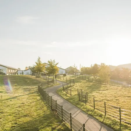 Hof Koehne - Haus Im Glueck Links Holiday home Schmallenberg