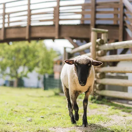 בית נופש Hof Koehne - Haus Im Glueck Links