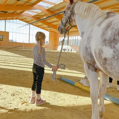 Hof Koehne - Haus Im Glueck Links