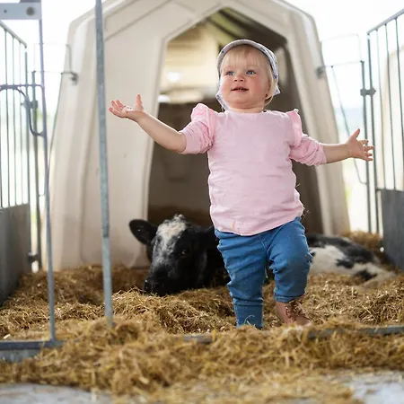Hof Koehne - Haus Im Glueck Links