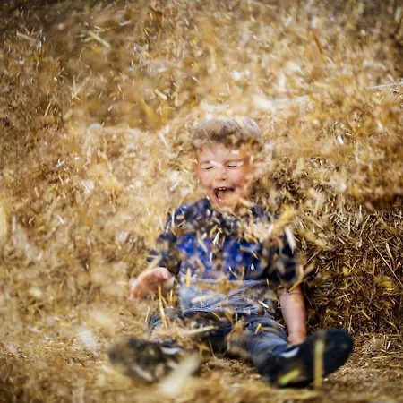 Hof Koehne - Haus Im Glueck Links בית נופש