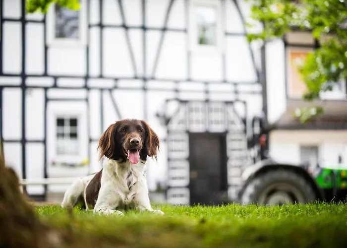 Hof Köhne - Haus Im Glück Links *