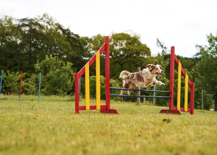Hof Köhne - Haus Im Glück Links