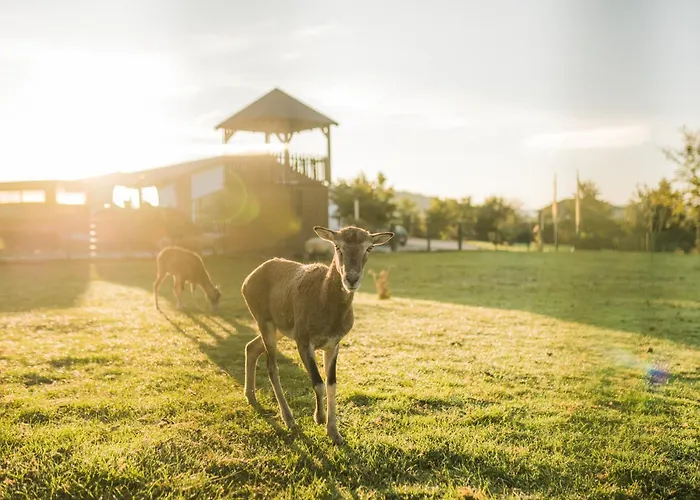 Hof Köhne - Haus Im Glück Links * Schmallenberg