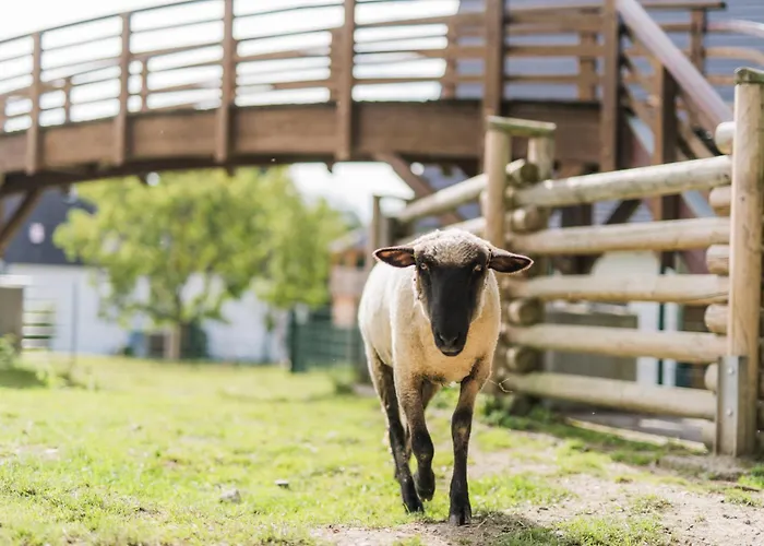 Сasa de vacaciones Hof Köhne - Haus Im Glück Links